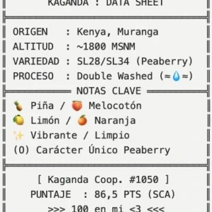 Kenia Kaganda Peaberry Lavado